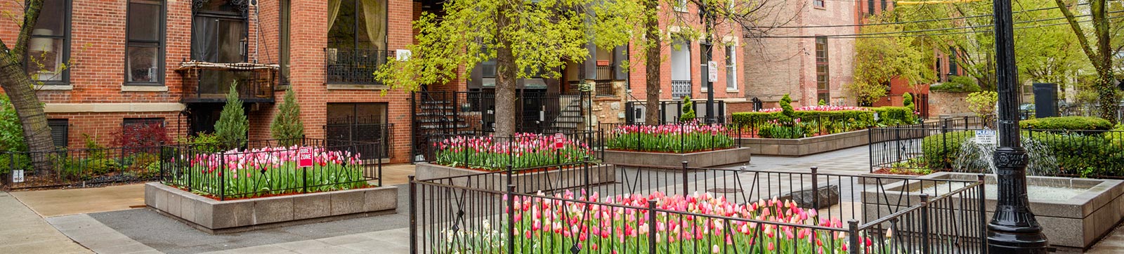 Town square setting in Chicago